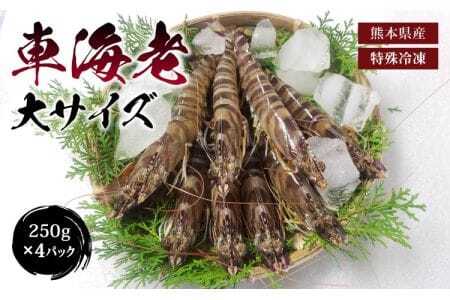 車海老 特殊冷凍 計1kg 250g×4パック 大サイズ