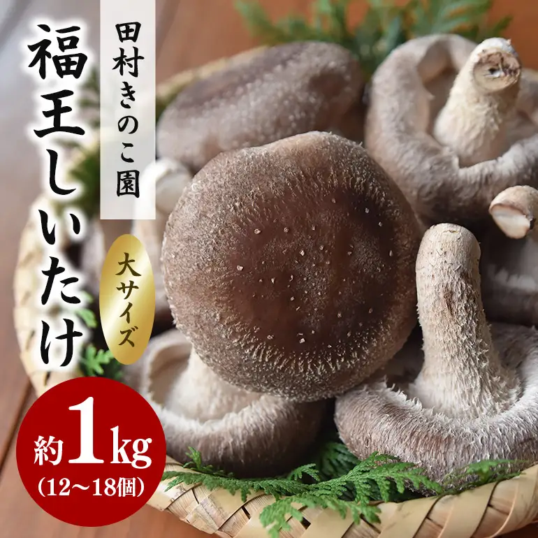【先行販売/2026年10月末以降発送】福王しいたけ 大サイズ 約1kg IA-003