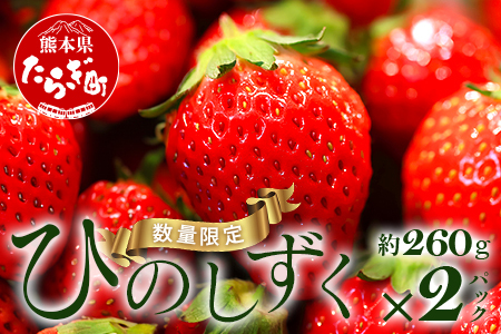 熊本県産 いちご【ひのしずく】約520g(260g×2パック) 103-0005