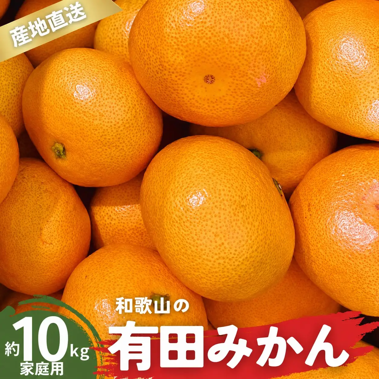 【1月発送】家庭用 有田みかん 和歌山 訳あり わけあり S～Lサイズ 大きさお任せ 10kg / みかん フルーツ 果物 くだもの 有田みかん 蜜柑 柑橘【ktn008B-1】