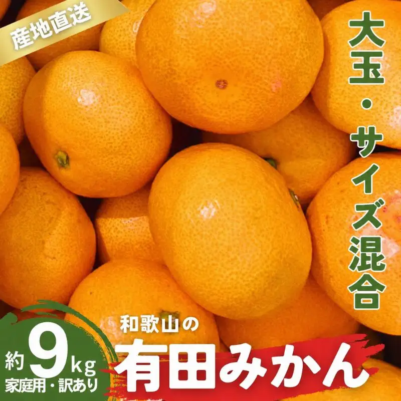 家庭用 有田みかん 和歌山 訳あり わけあり 大玉(2L,3Lサイズ混合) 約9kg【11月上旬～1月下旬頃に順次発送】/ みかん フルーツ 果物 くだもの 有田みかん 蜜柑 柑橘【ktn012B】