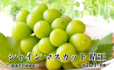ぶどう 2026年 先行予約 シャイン マスカット 晴王 約2kg 3～6房 岡山県産 シャインマスカット