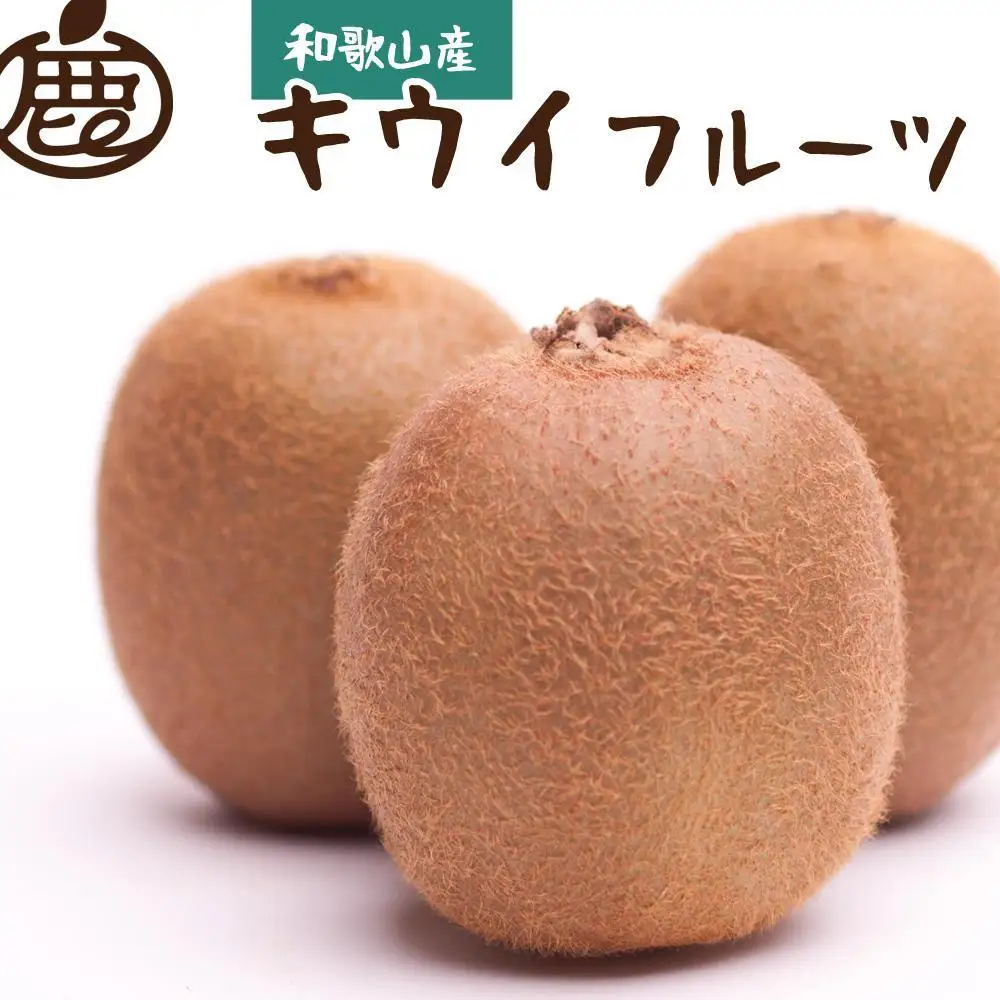 ［先行予約］厳選 キウイ2.5kg+250g（傷み補償分）［扁平果］