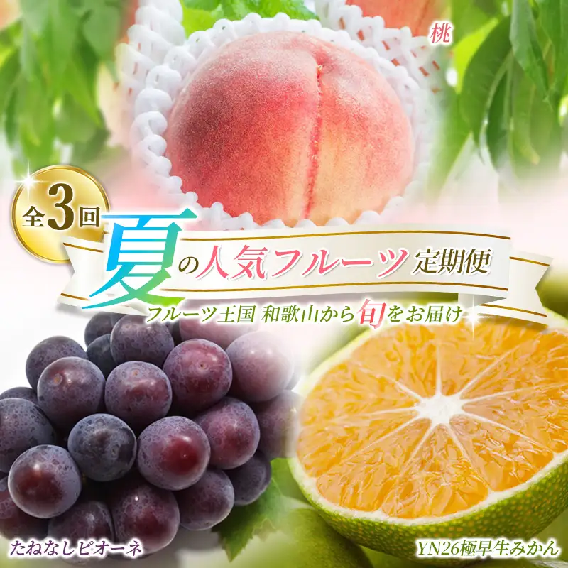 【定期便】夏の人気フルーツ定期便！桃・ピオーネ・極早生みかん（全3回）/ フルーツ 果物 もも モモ ぶどう ブドウ みかん ミカン 柑橘 旬 定期便  【tkb153】