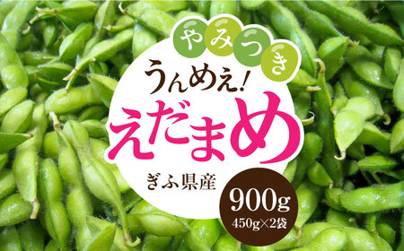 【先行予約】＜うまっ！＞やみつき必須！うんめえ枝豆！ 900g 【配送不可地域：北海道・沖縄・離島】 産地直送 野菜 えだまめ 岐阜市 / 大塚農園 [ANDQ001]