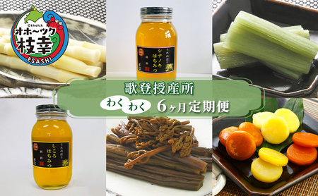 歌登授産所わくわく6ヶ月定期便【オホーツク枝幸】【 蜂蜜 はちみつ 惣菜 和菓子 スイーツ だんご 団子 北海道 オホーツク 枝幸 】