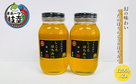幻の味わい うたのぼりのシコロはちみつ1200g×2本【オホーツク枝幸】【 蜂蜜 ハチミツ はちみつ グルメ お土産  国産はちみつ 健康 北海道 オホーツク 枝幸 】