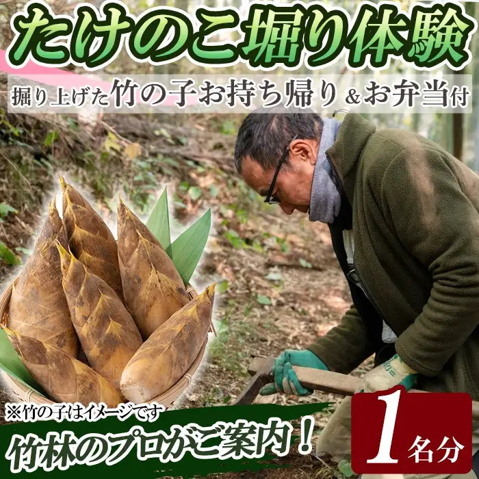 a931 ＜先行予約受付中！2027年3月中旬～4月中旬まで体験分＞竹の子堀り体験(1名様：昼食・タケノコ5kgお持ち帰り付)【夢竺山】 姶良市 たけのこ タケノコ 筍 竹の子 体験