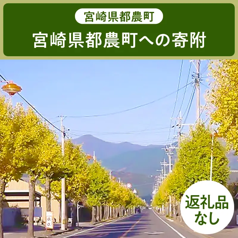 ≪返礼品なし≫宮崎県都農町への寄附【1口 10,000円】T000-001-10
