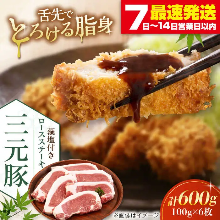 平田牧場 ロース ステーキ 600g  (100g×6枚) ※藻塩付  豚肉 とんかつ 生姜焼き[AJAP003]