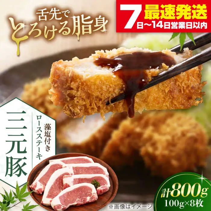 平田牧場 ロース ステーキ 800g  (100g×8枚) ※藻塩付 豚肉 とんかつ 生姜焼き[AJAP004]
