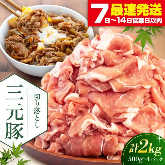 平田牧場 切り落とし 2kg (500g×4P)  豚肉 切り落とし 小分け [AJAP006]