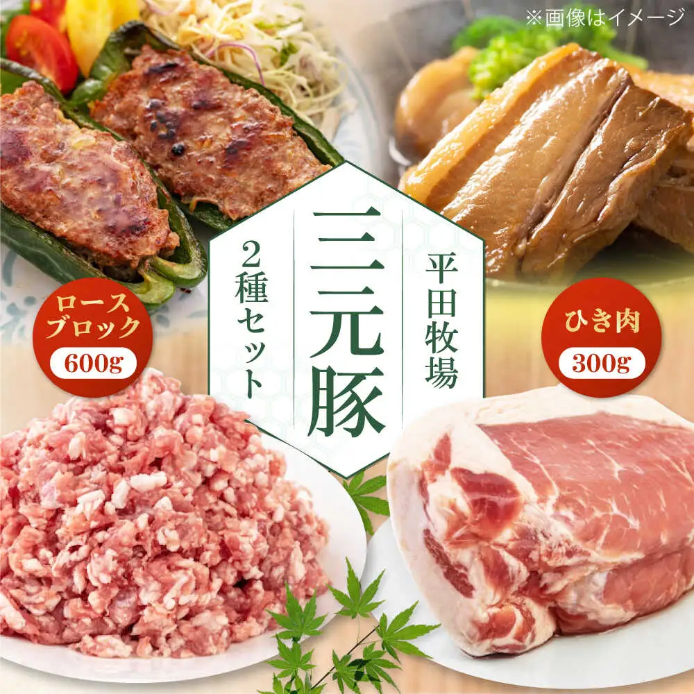 平田牧場 豚肉 2種セット 豚肉 詰め合わせ セット [AJAP008]