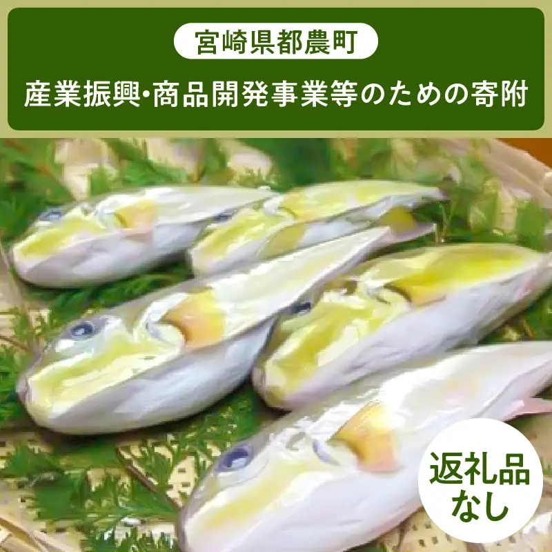 ≪返礼品なし≫宮崎県都農町の産業振興・商品開発事業等のための寄附【1口 9,000円】T000-005-09