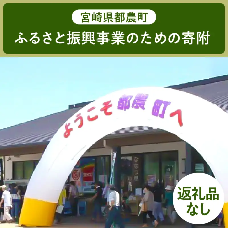≪返礼品なし≫宮崎県都農町のふるさと振興事業のための寄附【1口 5,000円】T000-007-05