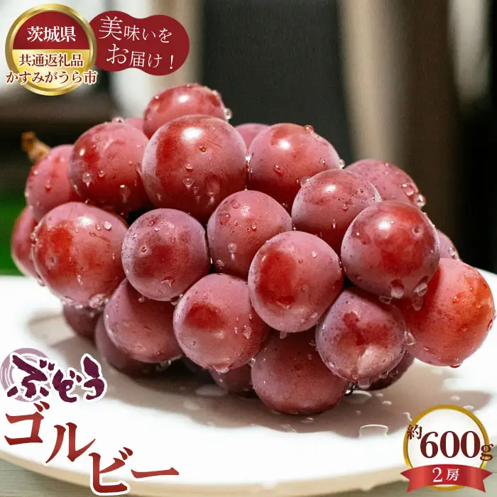 【先行予約】ぶどう　ゴルビー　約600g（2房）【茨城県共通返礼品 かすみがうら市】 No.587