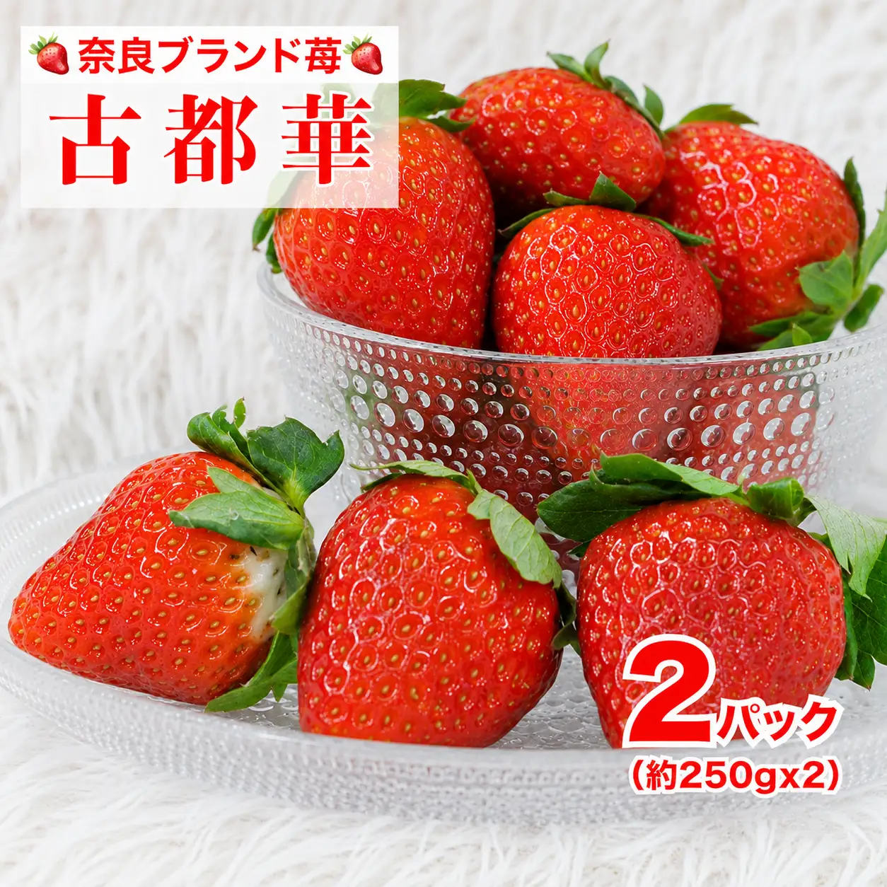 【先行予約】いちご 古都華 250g×２パック ことか いちご