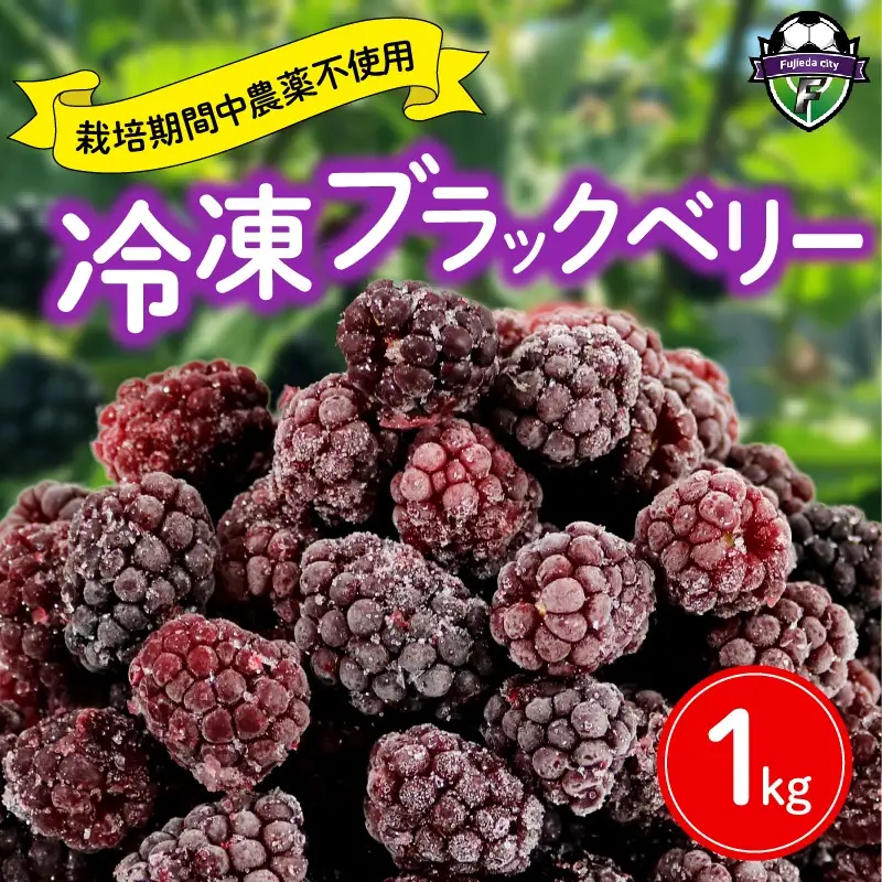 ブラックベリー 1kg 冷凍 ブラックベリー 