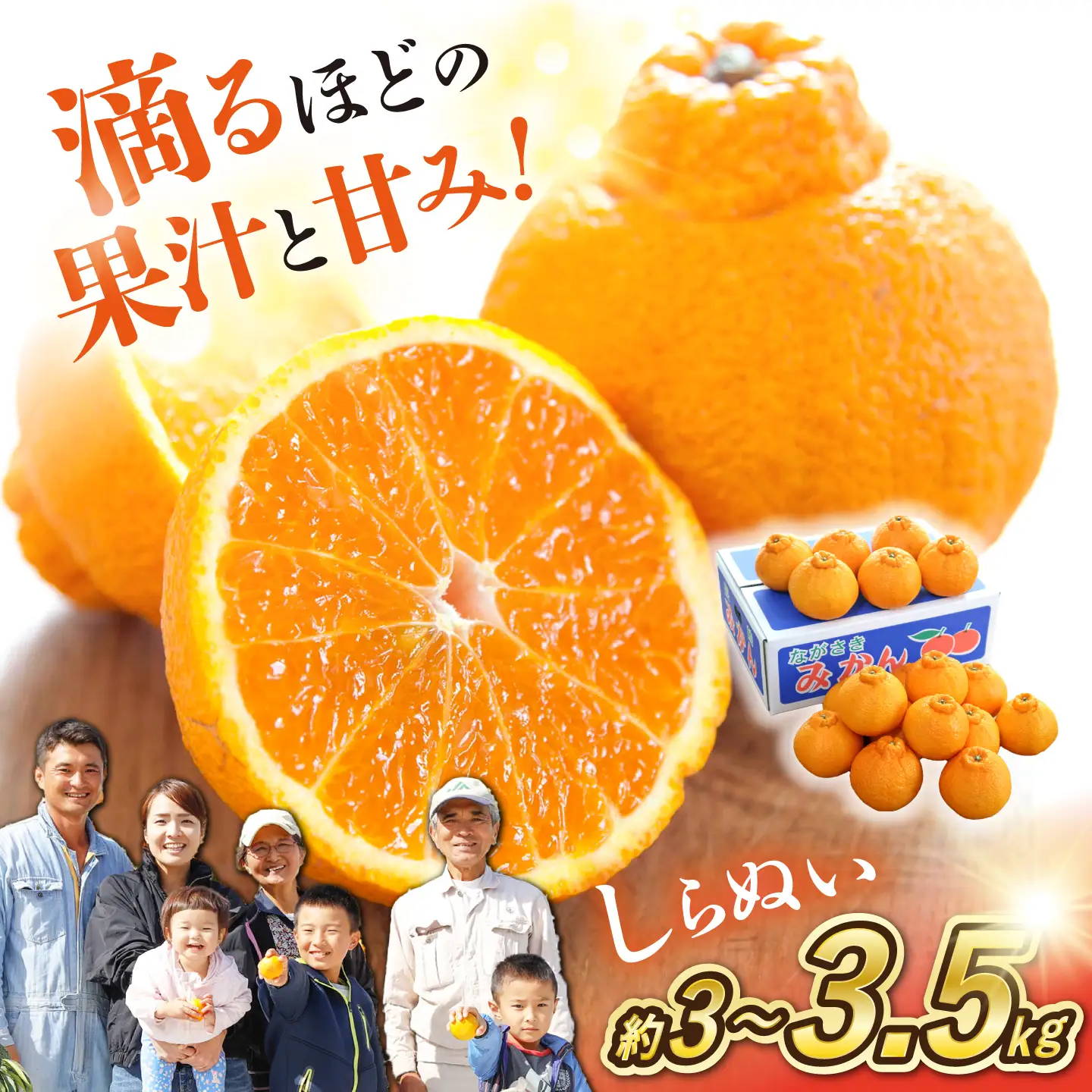 不知火 約3kg～3.5kg CCT009 不知火