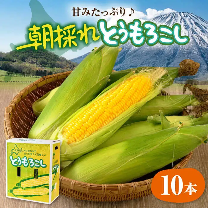 【先行予約】朝採れとうもろこし 10本 [AJAH025] とうもろこし