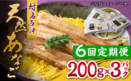 【全6回定期便】対馬産 西沖あなご 200g×3パック [WAA026] あなご アナゴ あなご 穴子