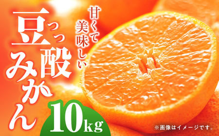 【24年1月限定発送】 対馬 つつ みかん 10kg  長崎 豆酘みかん ミカン 柑橘  [WBM005]