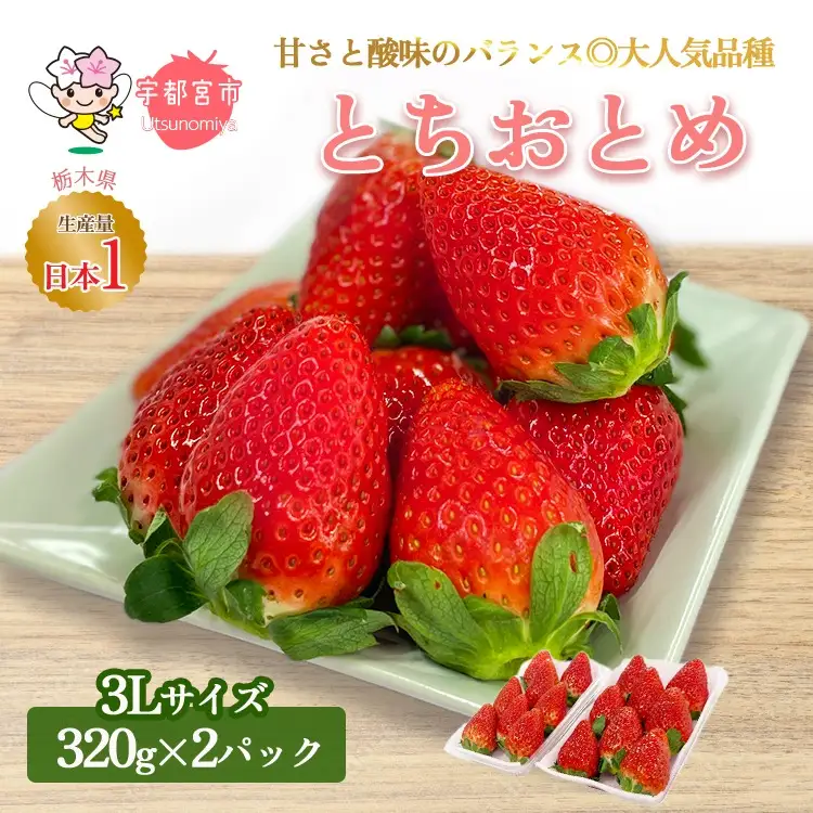 【先行予約】とちおとめ320g×2パック 3Lサイズ いちご アフター対応あり いちご ※2027年1月～発送
