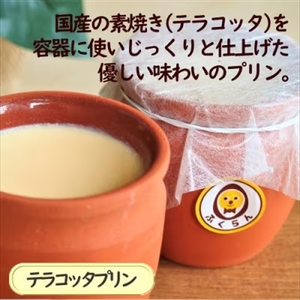 テラコッタプリン〔6個〕 国産の素焼き容器を使い、じっくりと仕上げた手作りプリン 【 プリン スイーツ お菓子 神奈川県 南足柄市 】