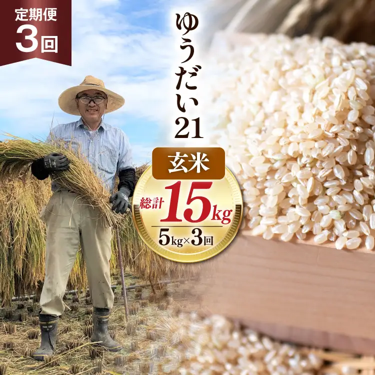 【3回 定期便】米 令和7年産 玄米 ゆうだい21 5kg×3回 計15kg