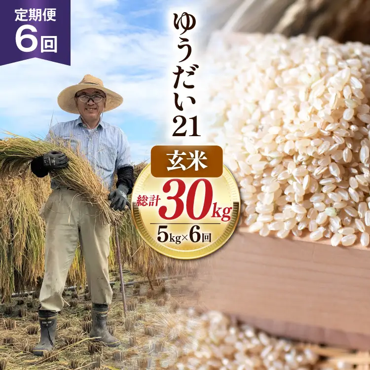 6回 定期便 米 令和7年産 玄米 ゆうだい21 5kg×6回 計30kg