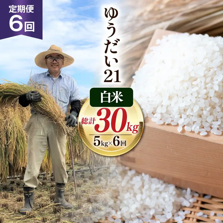6回 定期便 米 令和7年産 白米 ゆうだい21 5kg×6回 計30kg