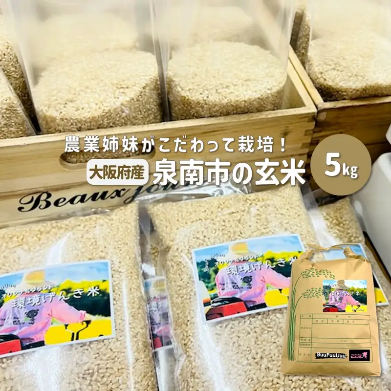 農業姉妹がこだわって栽培！大阪府産 泉南市の玄米 5kg【024D-007】