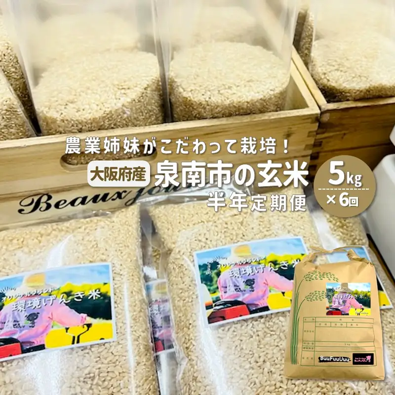 農業姉妹がこだわって栽培！大阪府産 泉南市の玄米5kg 半年定期便【024A-026】