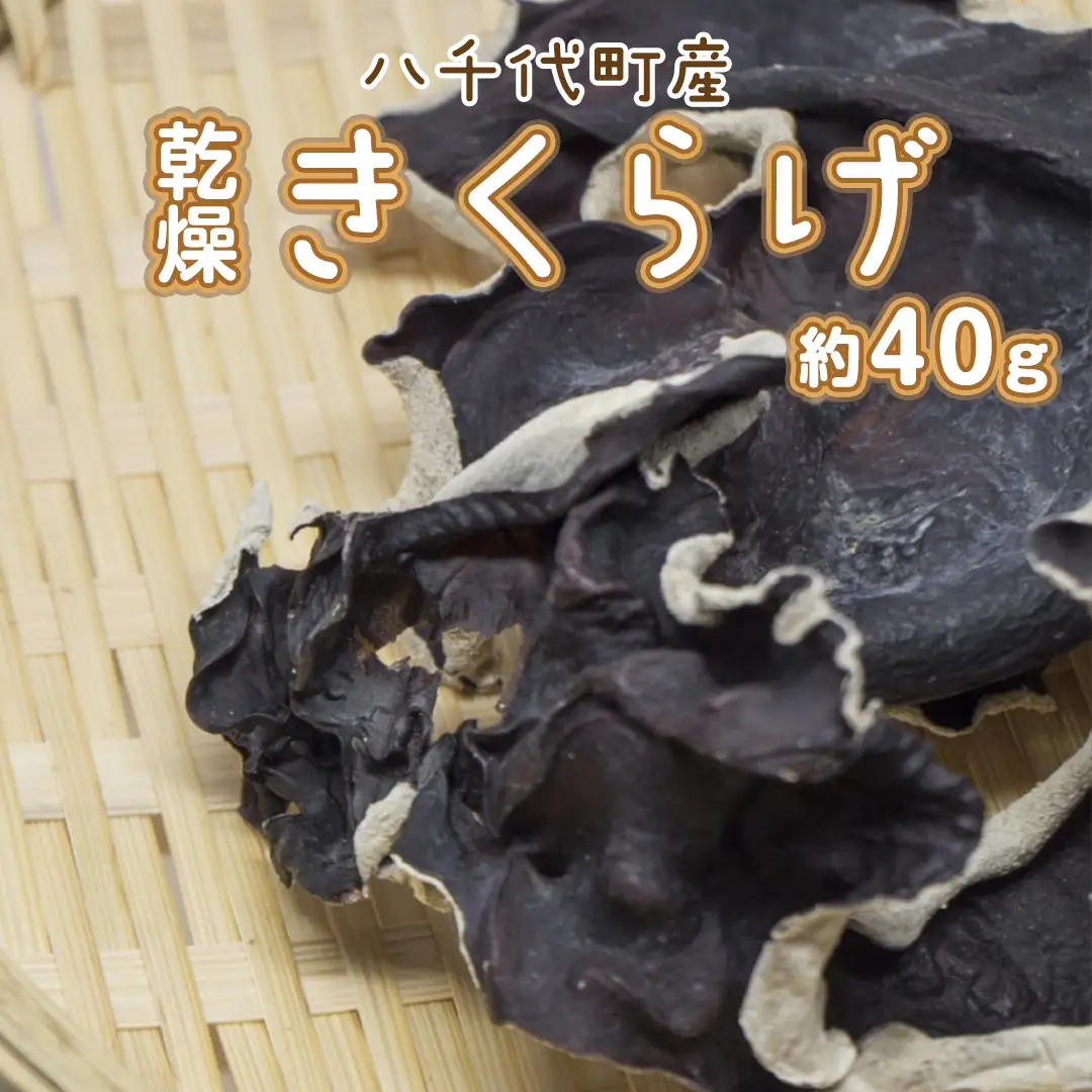 八千代町産 乾燥 きくらげ 約 40g キクラゲ 木耳 きのこ キノコ 乾燥 ふるさと納税 6000円 茨城県 八千代町 [CW002ya]