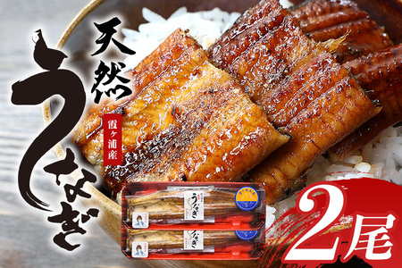 【数量限定】 霞ヶ浦産天然うなぎ 蒲焼き 2尾（100～130g×2） 国産 天然 真空パック 真空 パック たれ タレ 冷凍 茨城県産 かば焼き 蒲焼 国産うなぎ 国産ウナギ 国産鰻 国産天然うなぎ 国産天然ウナギ 国産天然鰻 内祝い ギフト プレゼント お祝い ご褒美 土用の丑の日 おいしい 簡単 霞ケ浦 49-B