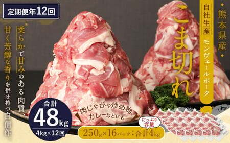 【 定期便 年12回 】 モンヴェールポーク こま切れ 4kg (250g×16) 12回お届け