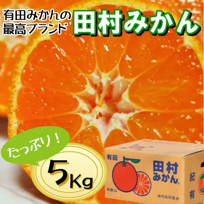 高級みかん秀 田村みかん 約5kg ［2026年12月発送分］［NGT9w］