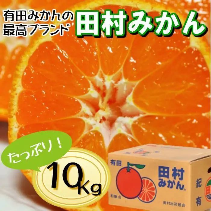 高級みかん秀 田村みかん 約10kg ［2026年12月発送分］［NGT12w］