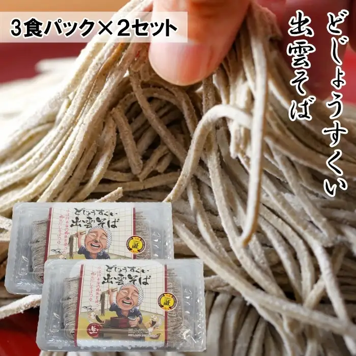 どじょうすくい出雲そば ／出雲そば 生麺 あごだし 飛魚 つゆ そばつゆ つゆ付き セット 麺類 そば パック 島根県 安来市 【06-YB-01】