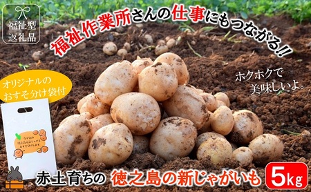 《今が旬！》福祉作業所の仕事にもつながる！徳之島の“新”じゃがいも（5kg）( バレイショ 野菜 旬 春 徳之島 奄美 鹿児島 肉じゃが カレー じゃがバター 美味しい 人気 オススメ )
