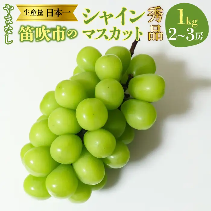 【2026年発送★先行予約】山梨県　笛吹産　シャインマスカット　1kg（2～3房）秀品 215-007-26y