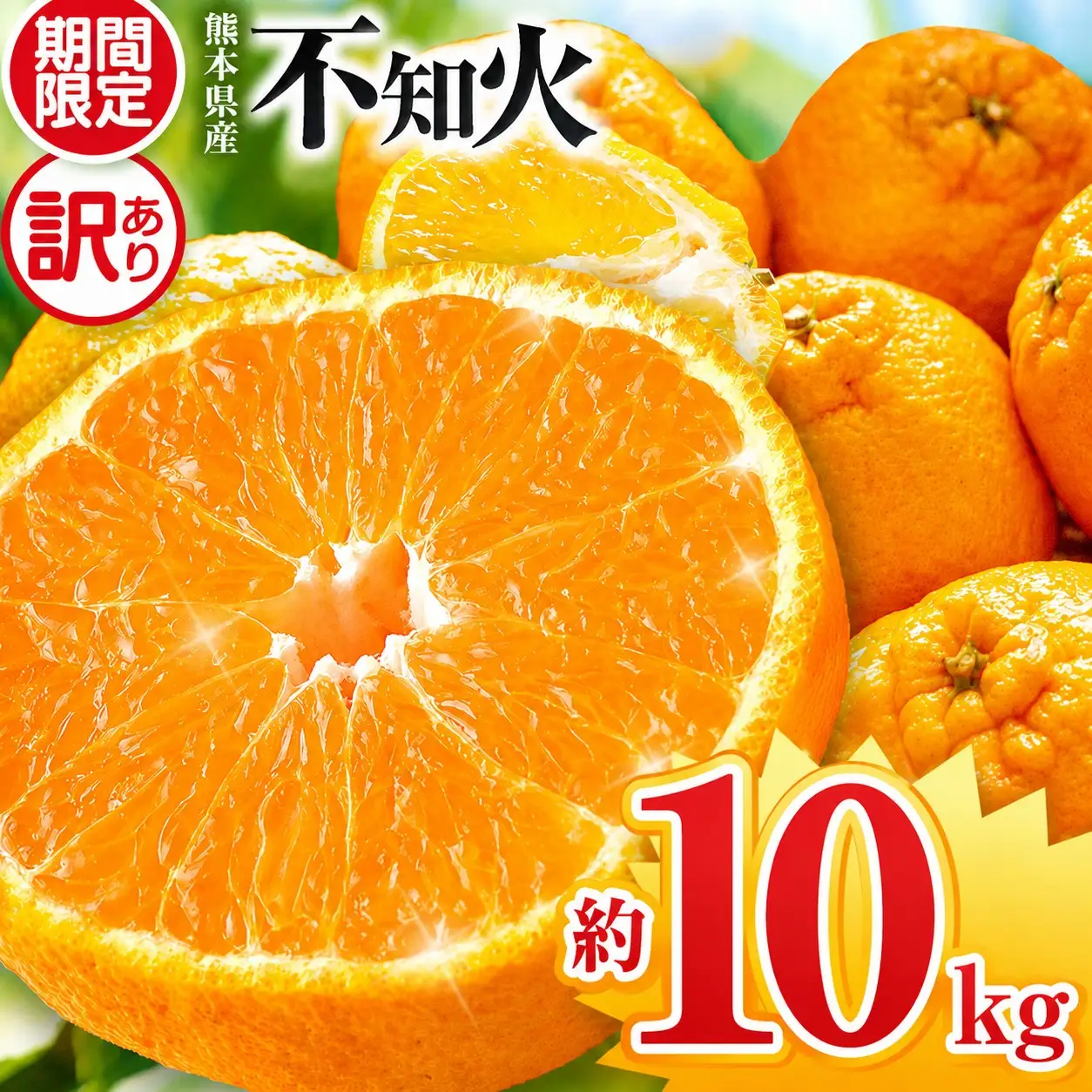 【 先行予約 】【訳あり】ご家庭用 不知火 約 10kg 熊本県産 和水町