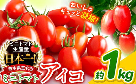 ミニトマト アイコ 約1kg｜サザキ農園