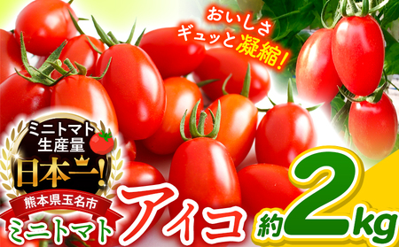 ミニトマト アイコ 約2kg  | サザキ農園