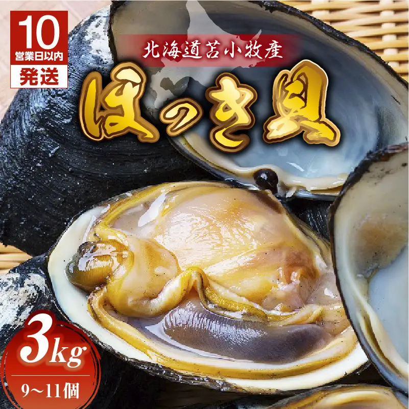 【 10営業日以内に発送 】 北海道苫小牧産 ほっき貝 3kg （ 9～11個 ） T032-001 魚介類 貝