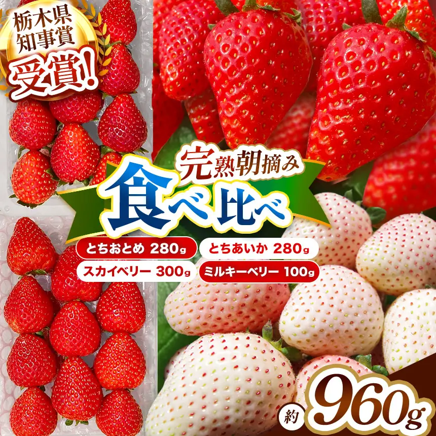 【2027年先行予約】栃木のいちご4品種 食べ比べセット｜いちご