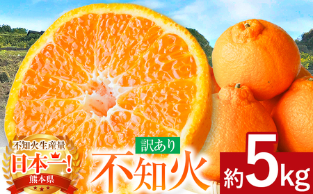 ≪ご家庭用≫ 不知火 約5kg | 果物 くだもの フルーツ 柑橘類 柑橘 デコポン みかん 熊本 玉名