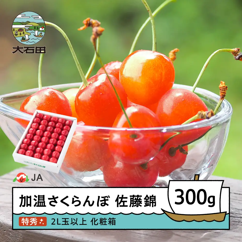 【先行予約】 加温 さくらんぼ 佐藤錦 特秀 2L玉 化粧箱 300g 令和9年産  ja-snk2x300