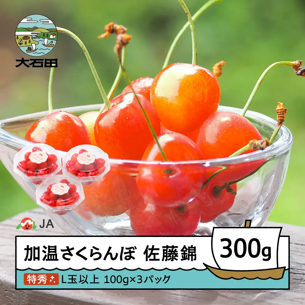 【先行予約】 加温 さくらんぼ 佐藤錦 特秀 L玉 ダイヤパック 100g×3パック 令和9年産 ja-snpcx300