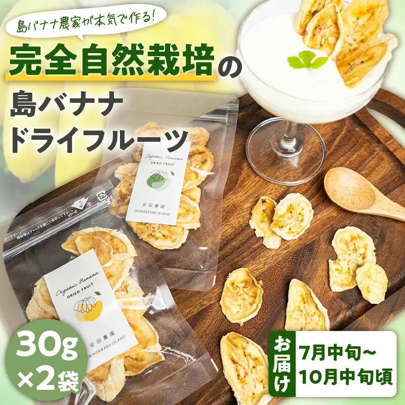 【先行受付】島バナナ農家が本気で作る完全自然栽培の島バナナドライフルーツ30g×2袋（7月中旬～10月中旬頃発送） W029-010u バナナ 加工品